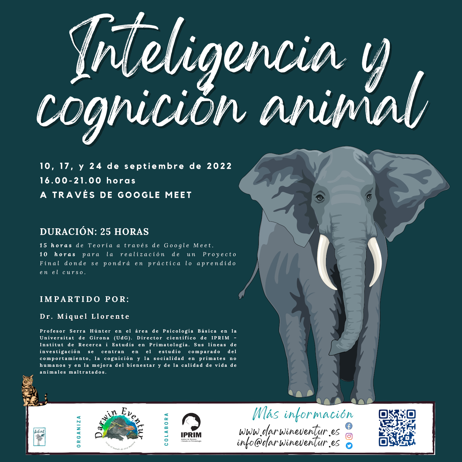 Inteligencia y cognición animal