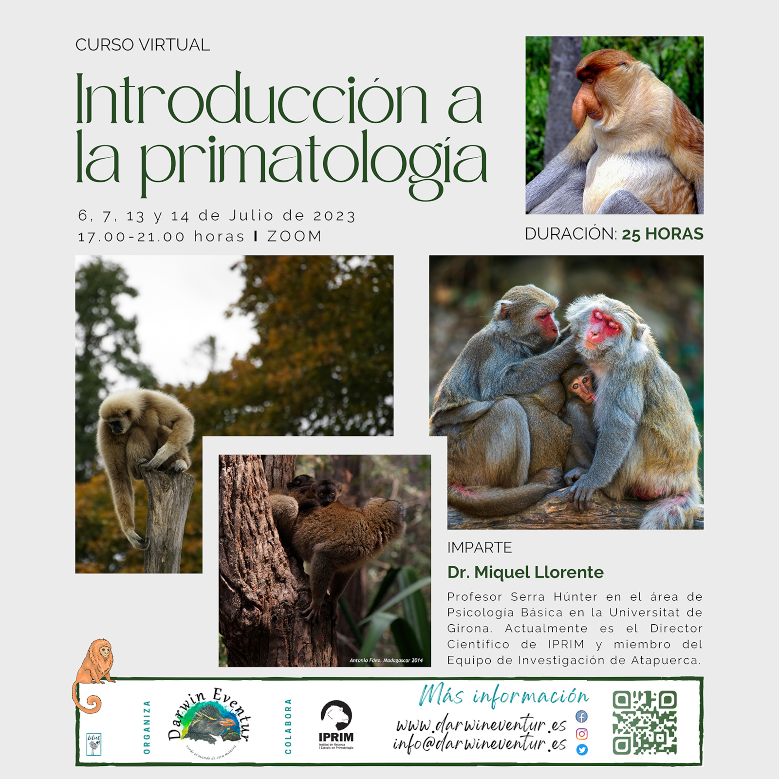 Curso Introducción a la Primatología: edición de julio de 2023