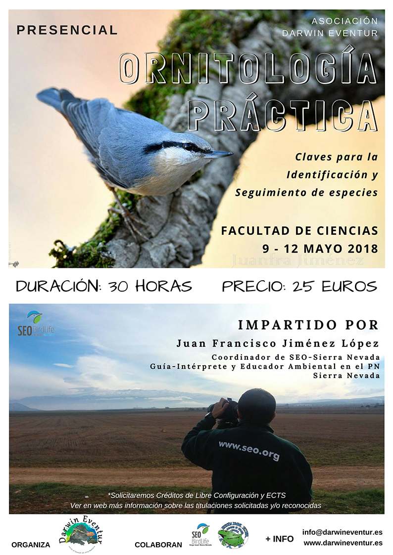 Ornitología práctica: claves para la identificación y seguimiento de especies