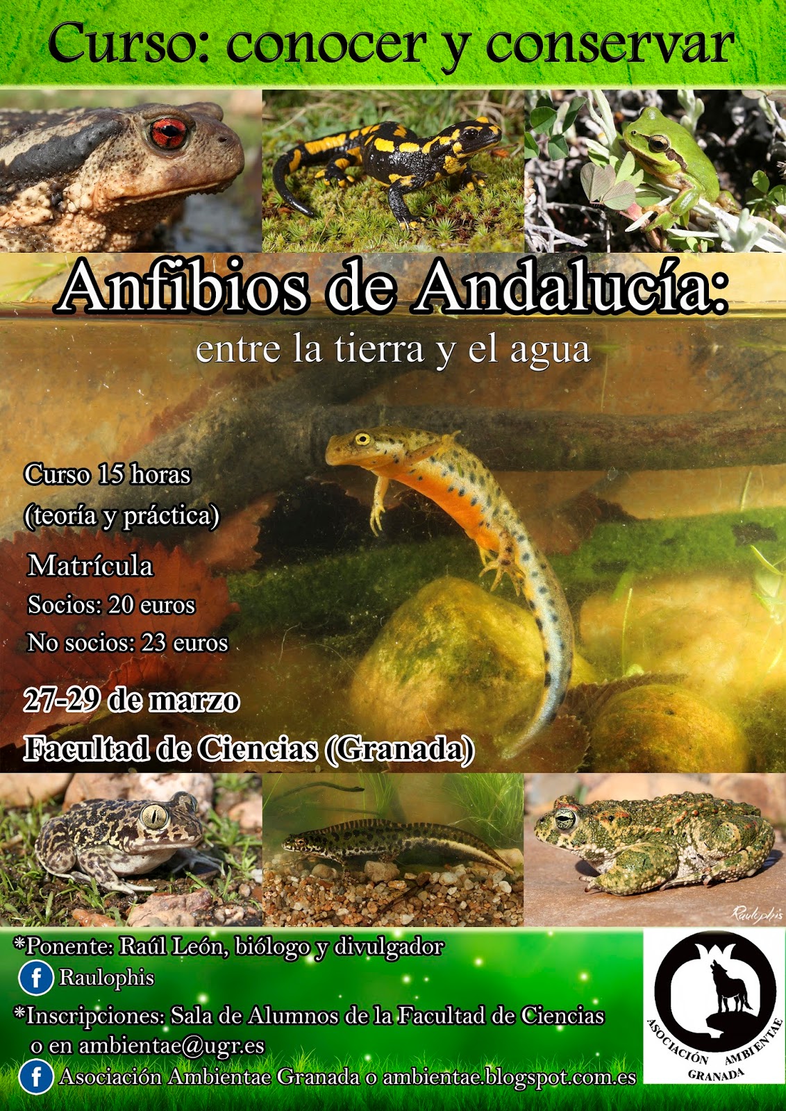 Curso "Conocer y conservar. Anfibios de Andalucía, entre la tierra y el agua" 