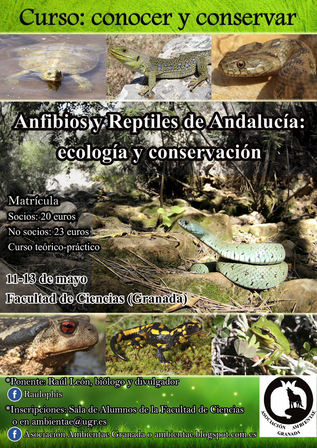 Curso "Conocer y conservar. Reptiles y anfibios de Andalucía, entre la tierra y el agua"