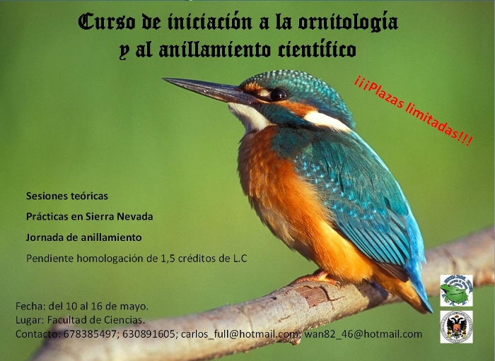 ornitologia