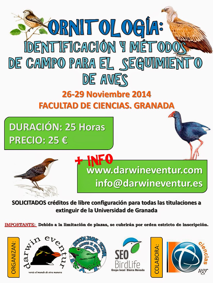 Curso Ornitologia Noviembre 2014