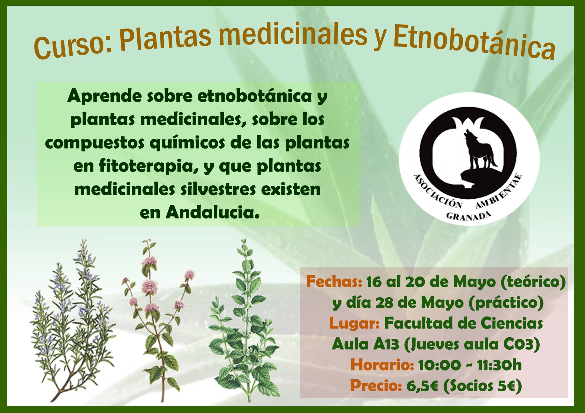 Curso Plantas medicinales y etnobotánica