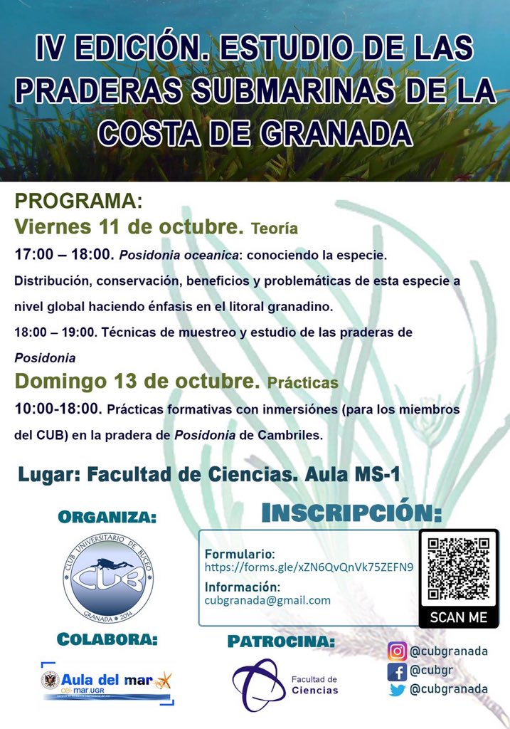 IV Edición del estudio de las praderas submarinas de Granada