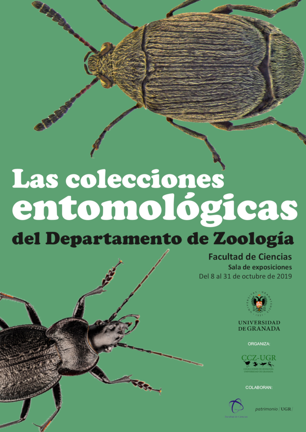 Las colecciones entomológicas del Departamento de Zoología