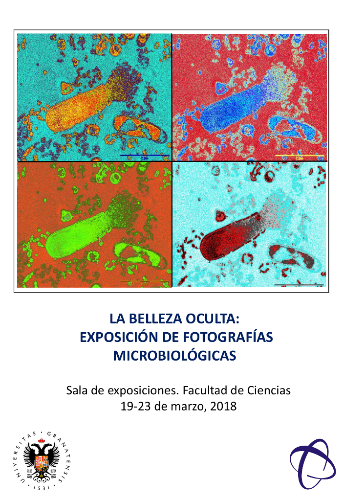 La Belleza Oculta: Exposición de Fotografías Microbiológicas