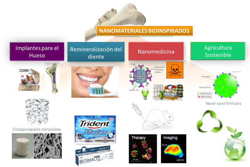 Nanomateriales bioinspirados que cuidan de nosotros y de nuestro medio ambiente