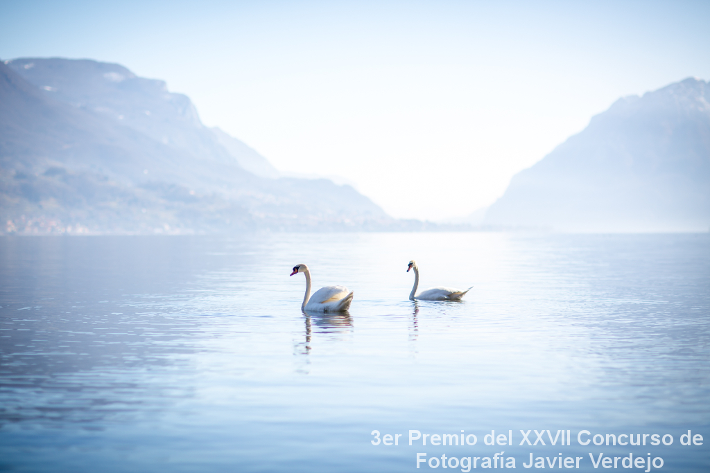 2º Premio del XXVIII Concurso de Fotografía Javier Verdejo