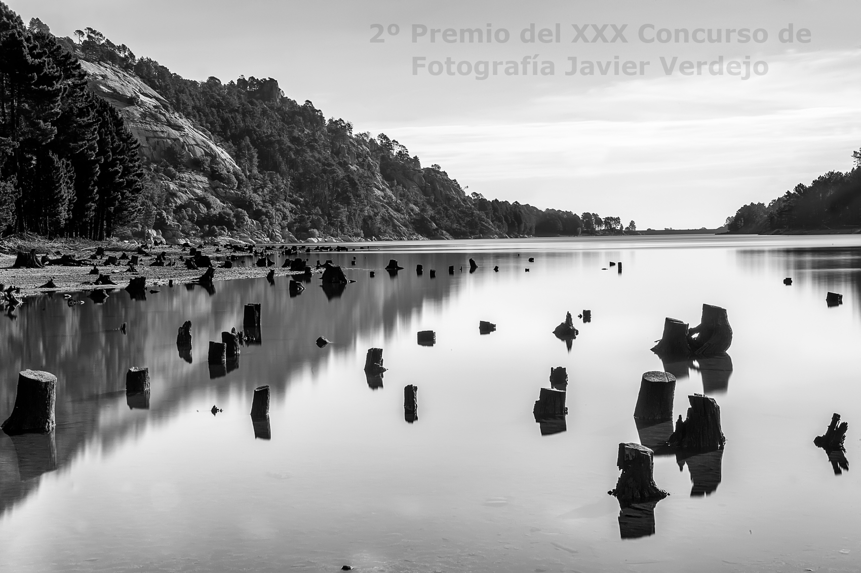 2º Premio del XXX Concurso de Fotografía Javier Verdejo