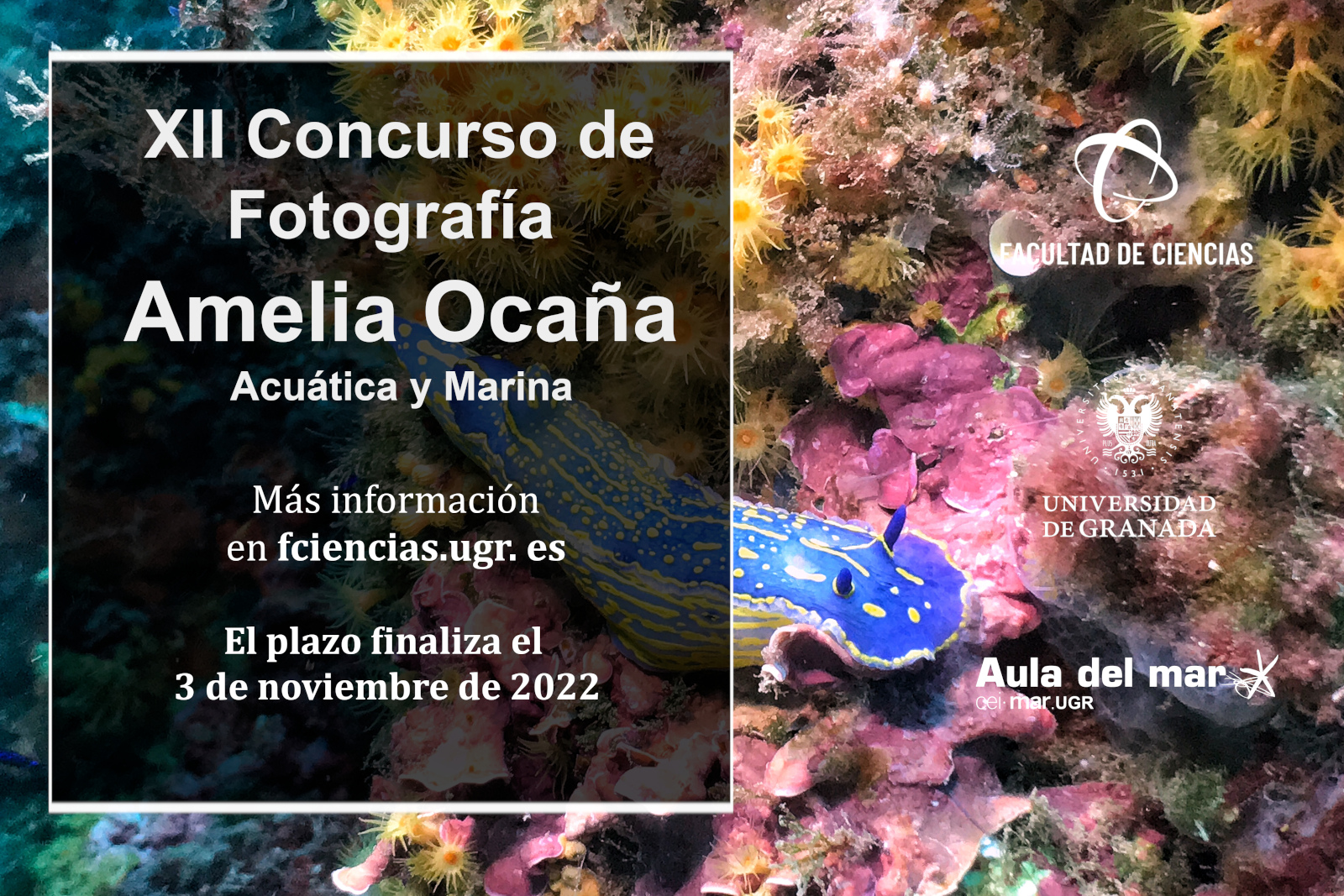 XII Concurso de Fotografía Amelia Ocaña 