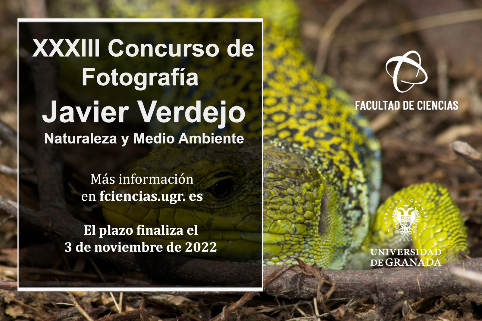 XXXIII Concurso de Fotografía Javier Verdejo 