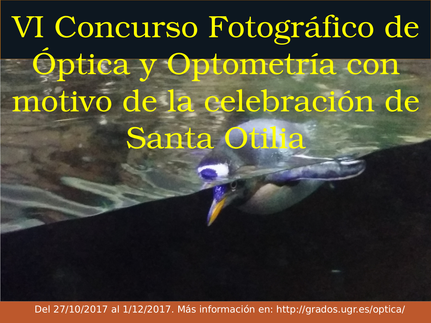 VI Concurso Fotográfico de Óptica y Optometría con motivo de la celebración de Santa Otilia