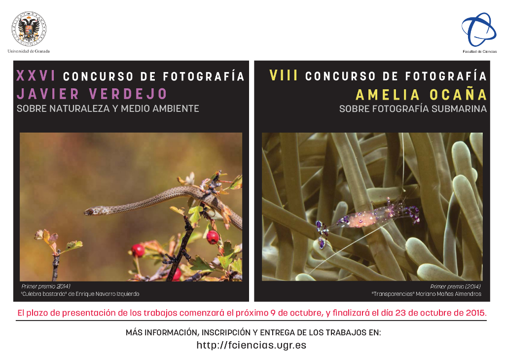 XXVI Concurso de Fotografía Javier Verdejo y VIII Concurso de Fotografía Amelia Ocaña