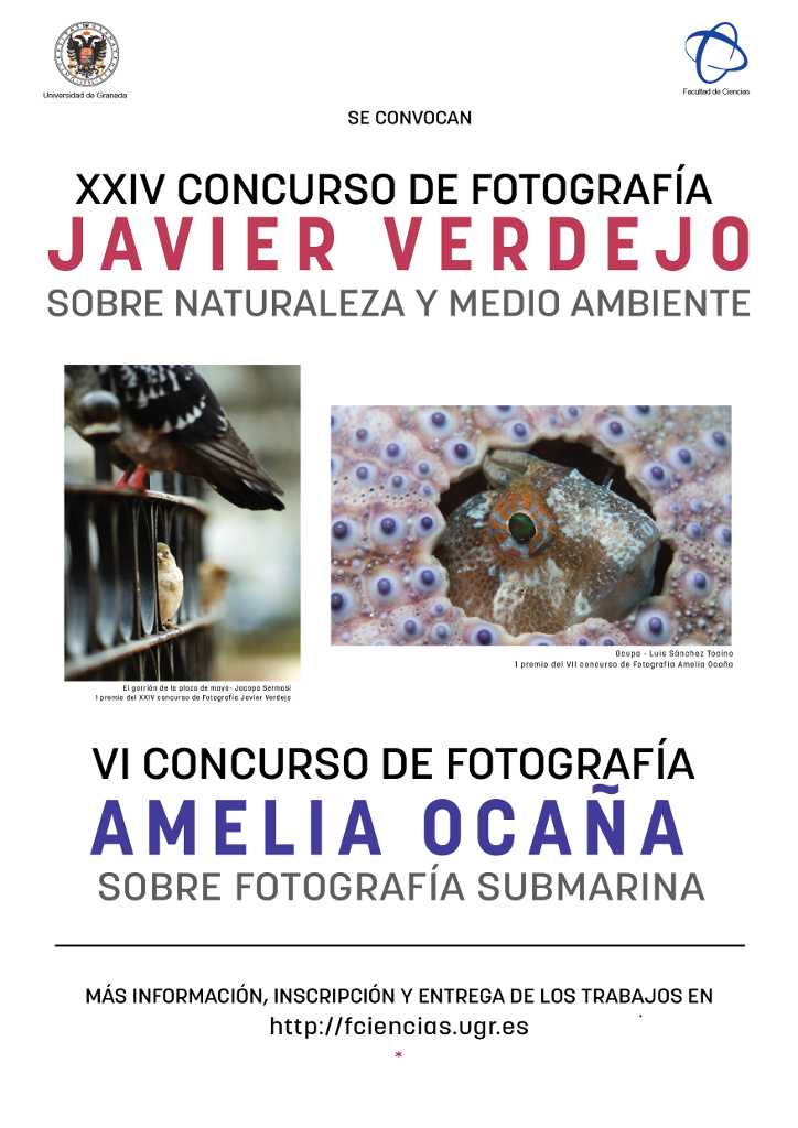 XXV Concurso de Fotografía Javier Verdejo y VII Concurso de Fotografía Amelia Ocaña