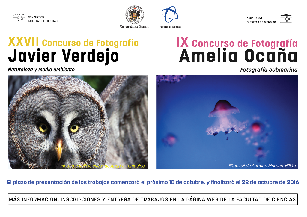 XXVII Concurso de Fotografía Javier Verdejo y IX Concurso de Fotografía Amelia Ocaña 