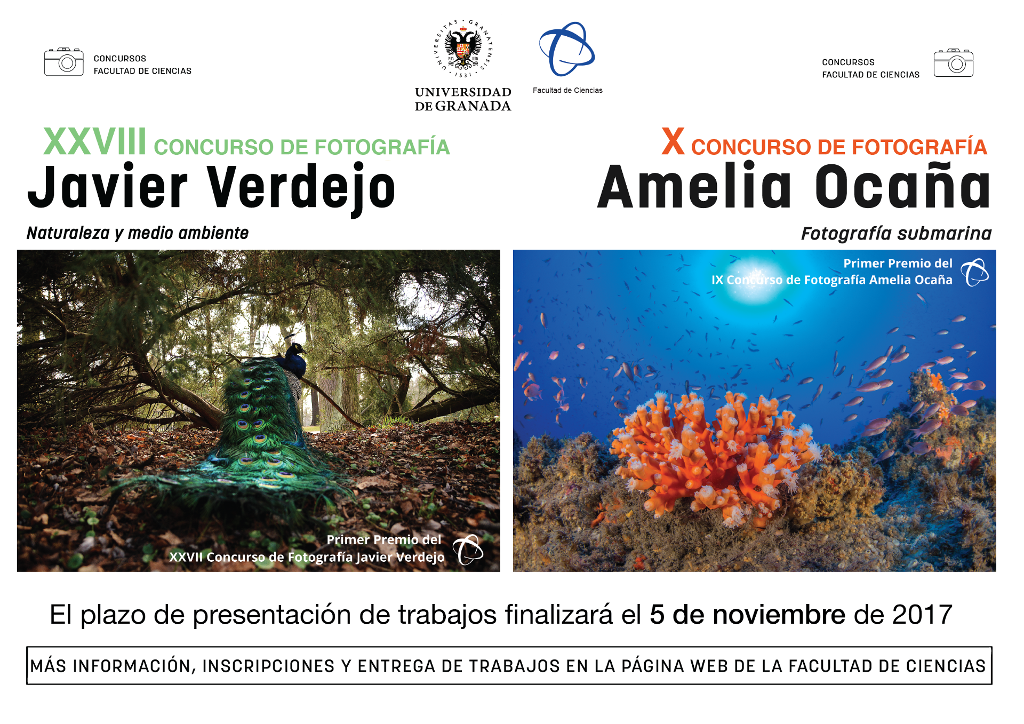 XXVIII Concurso de Fotografía Javier Verdejo y X Concurso de Fotografía Amelia Ocaña 