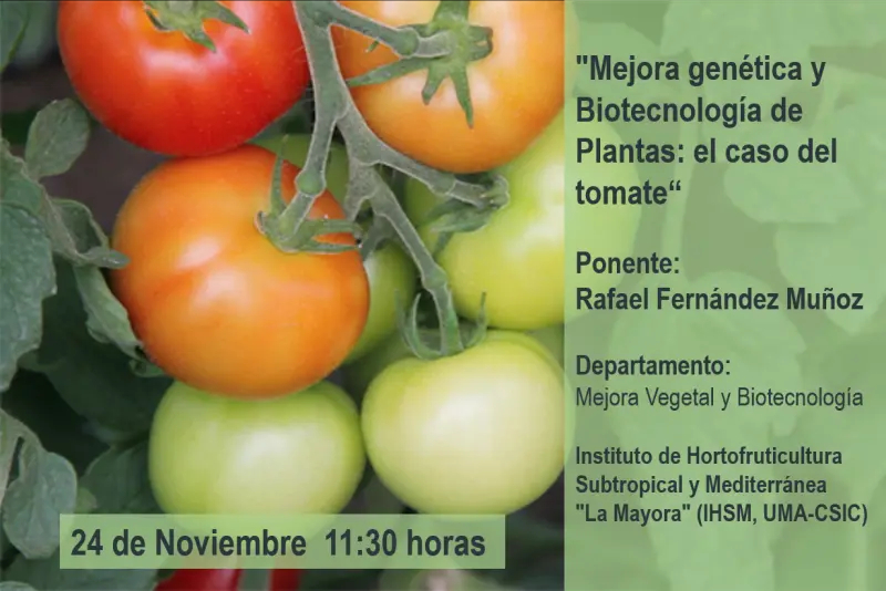 Mejora genética y Biotecnología de Plantas: el caso del tomate
