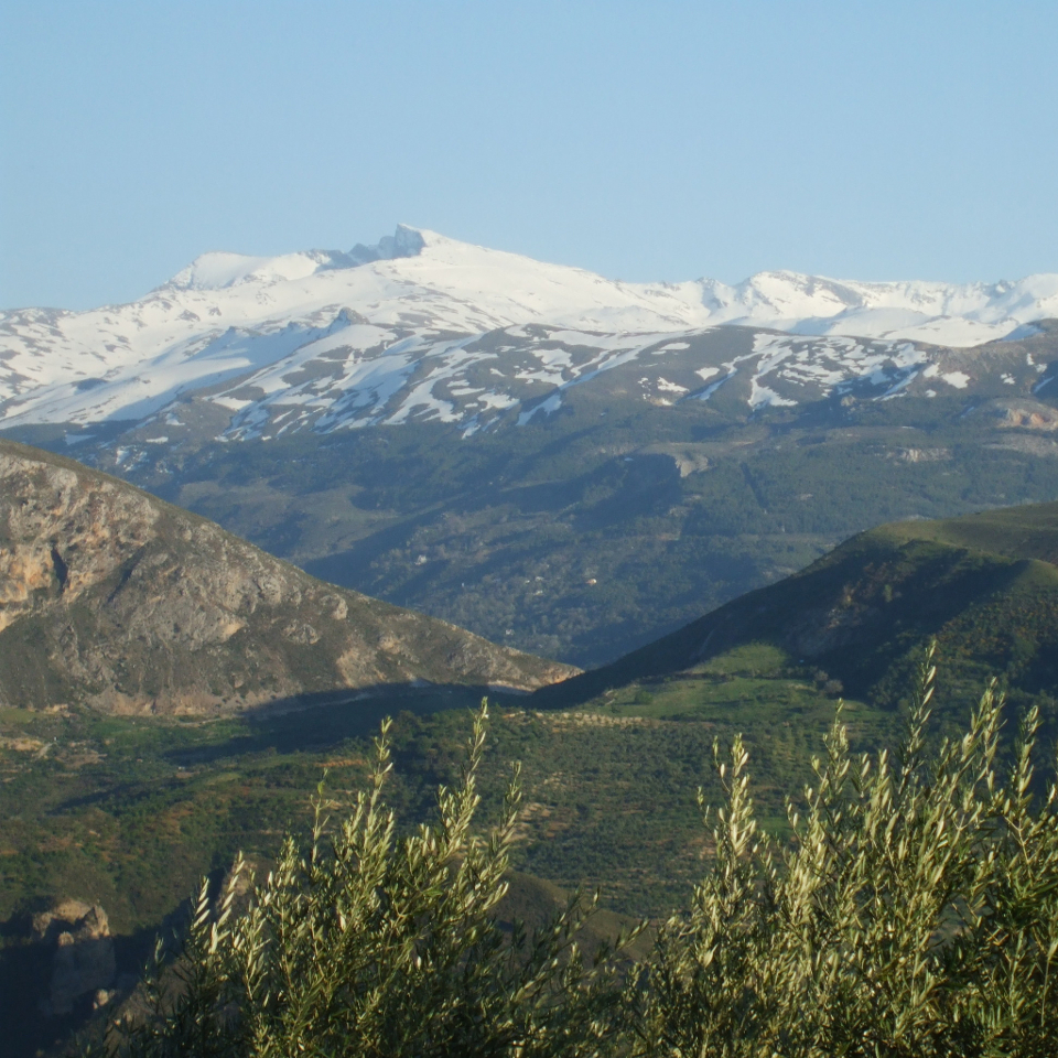 Conferencia “Implementando la Ciencia de la Conservación: el caso de Sierra Nevada”