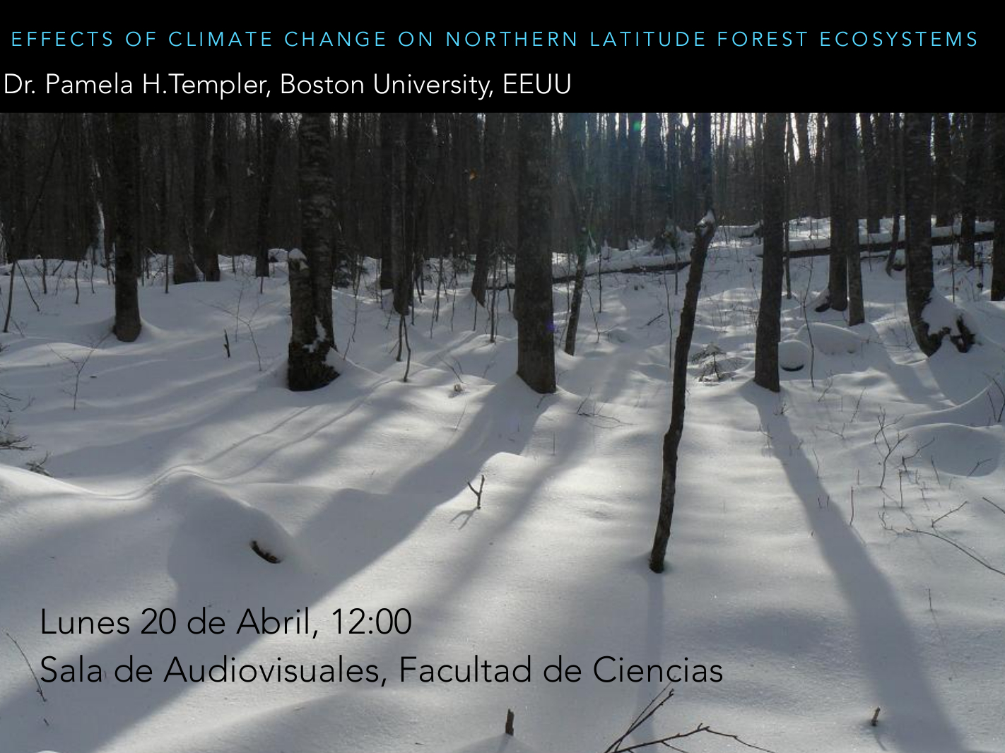Effects of climate change on northen latitude forest ecosystems