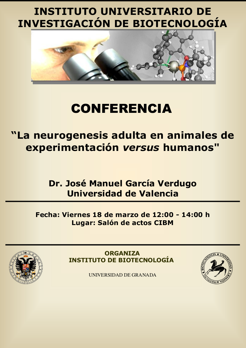 La neurogenesis adulta en animales de experimentación versus humanos