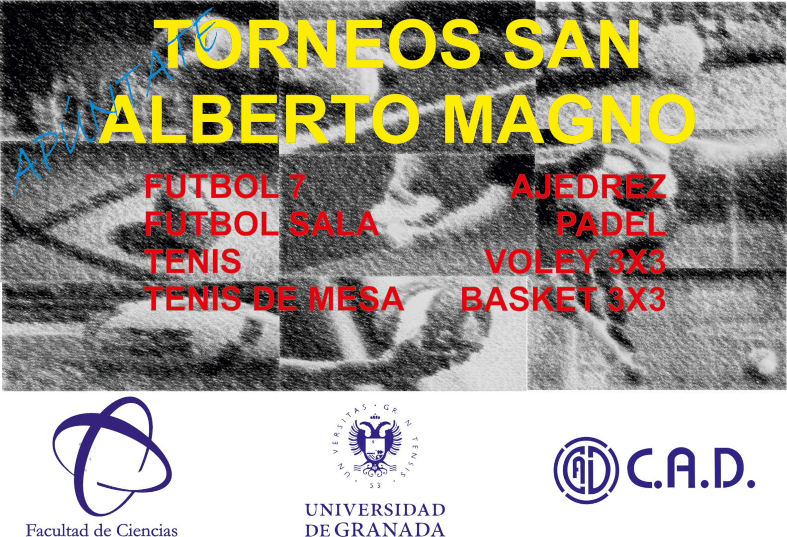 Torneos de San Alberto Magno 2018