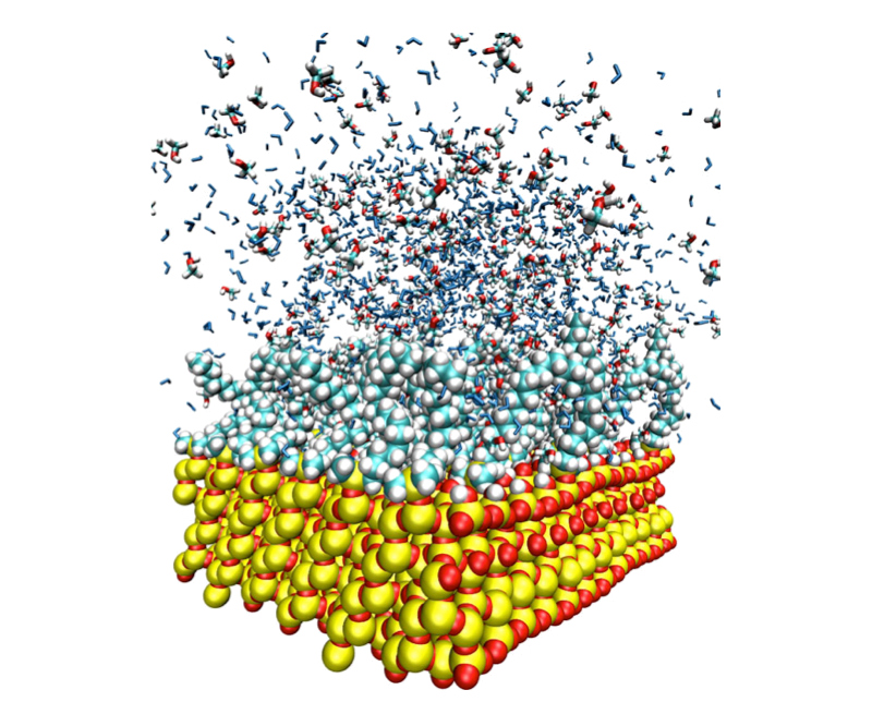 mollecularSimulation22