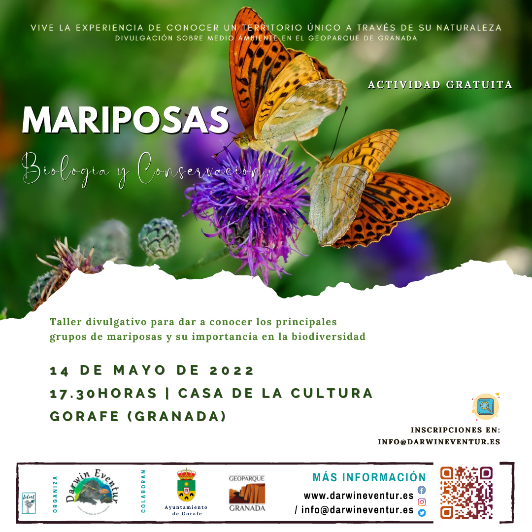 Mariposas: biología y conservación