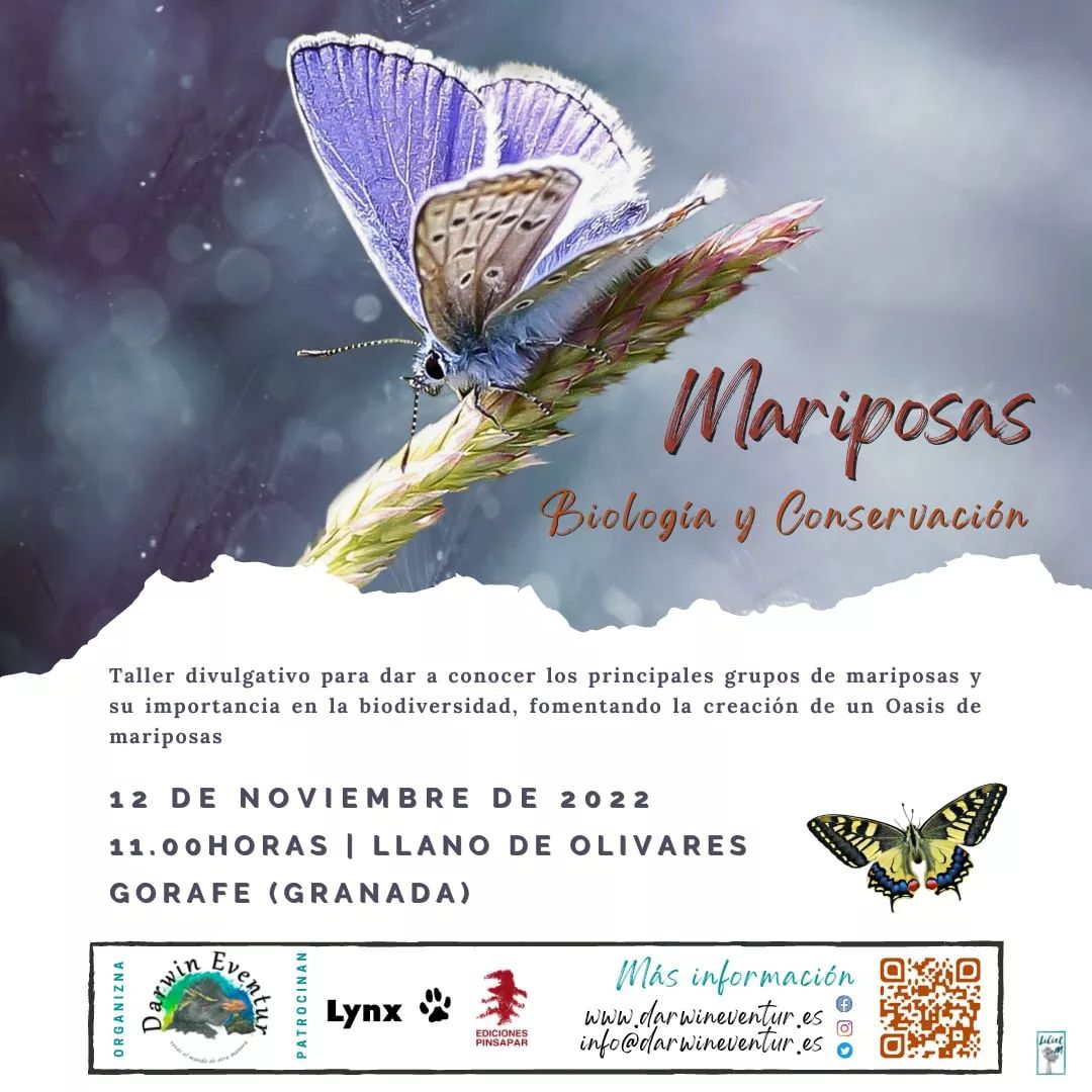 Taller - Mariposas: biología y conservación